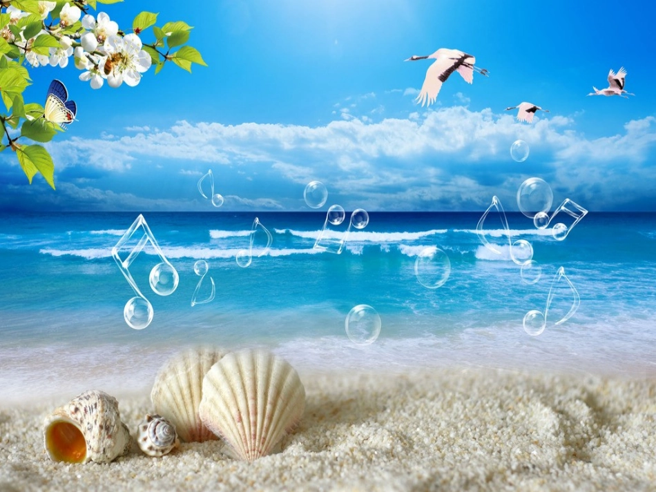 贝壳之歌-课件_第3页