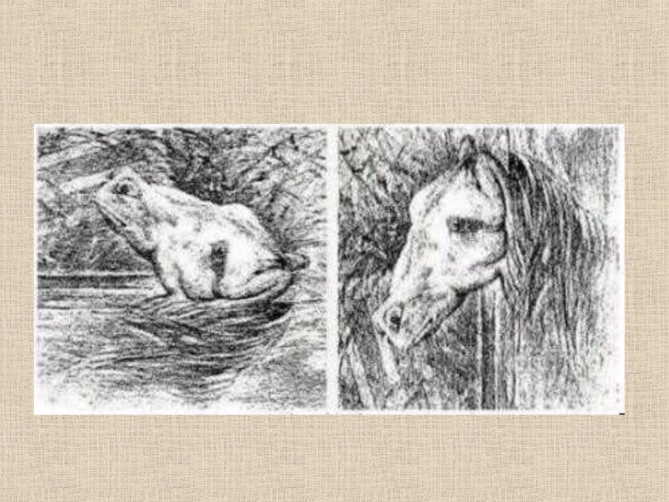 解读一篇寓言_第2页