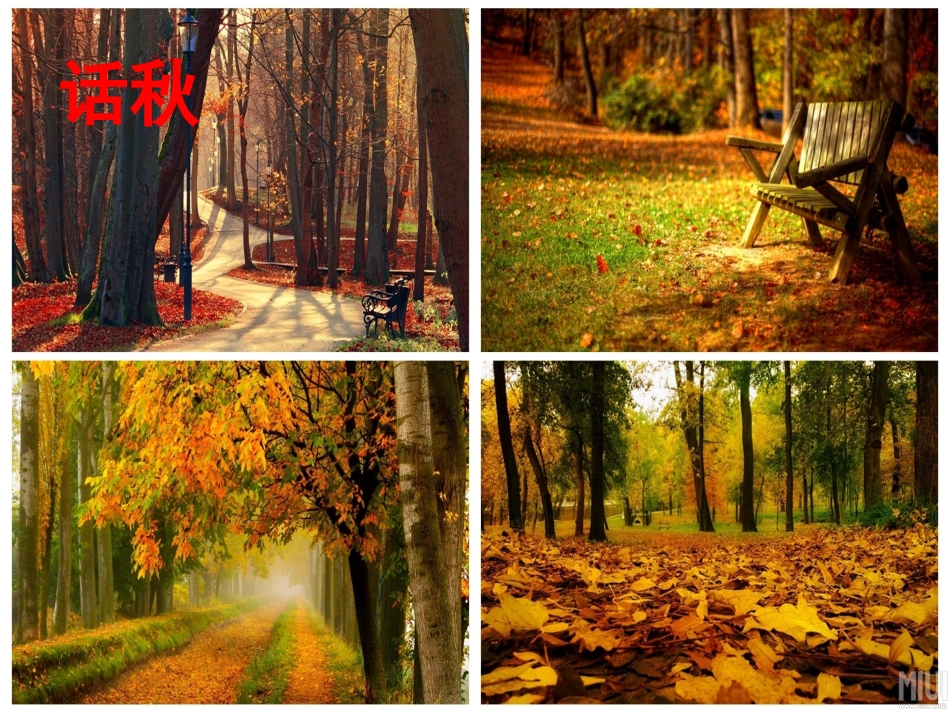 再次修改张炼《秋天》_第3页