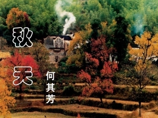 再次修改张炼《秋天》