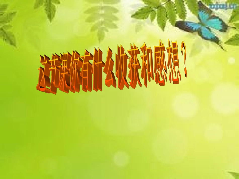 平行四边形的认识实践作业_第2页