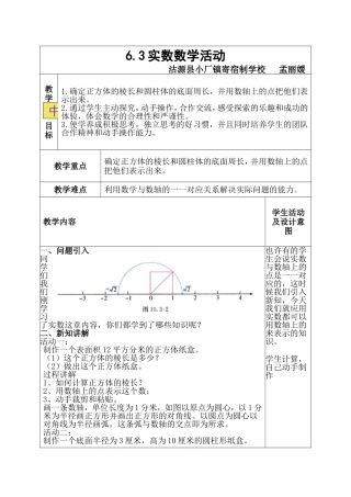 实数数学活动