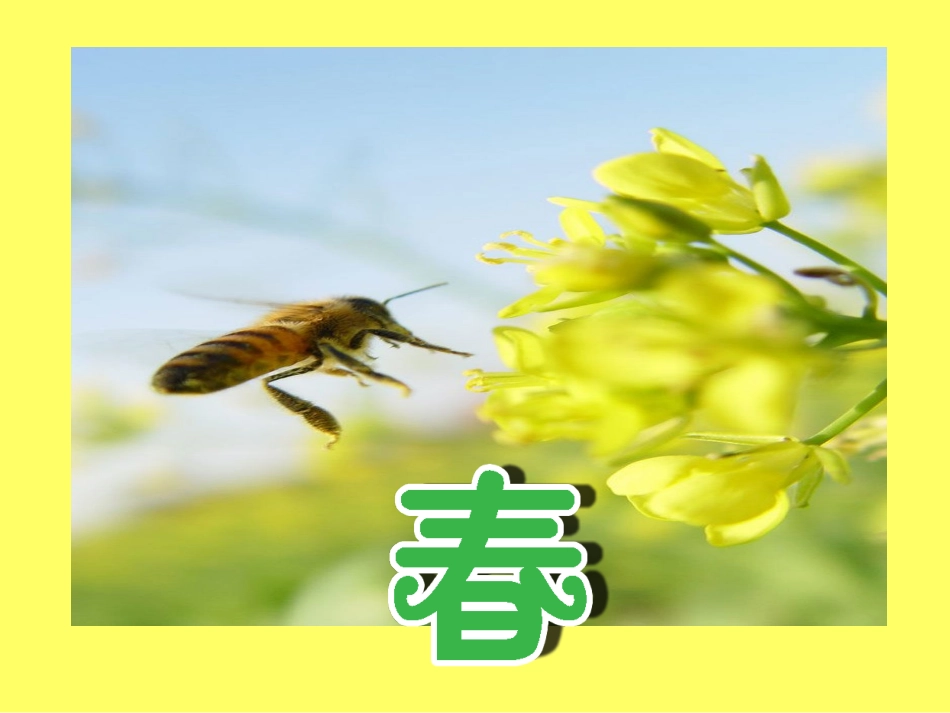 青岛版小学科学六年级上册《四季更替》课件3-_第2页