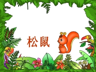 15松鼠教学课件