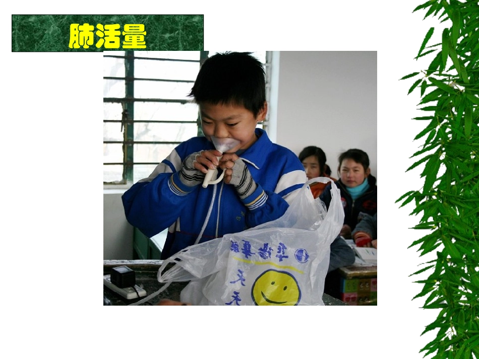课件-体育常识-国体_第3页