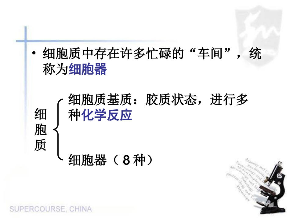 b1-3.2细胞器——系统内的分工合作_第3页