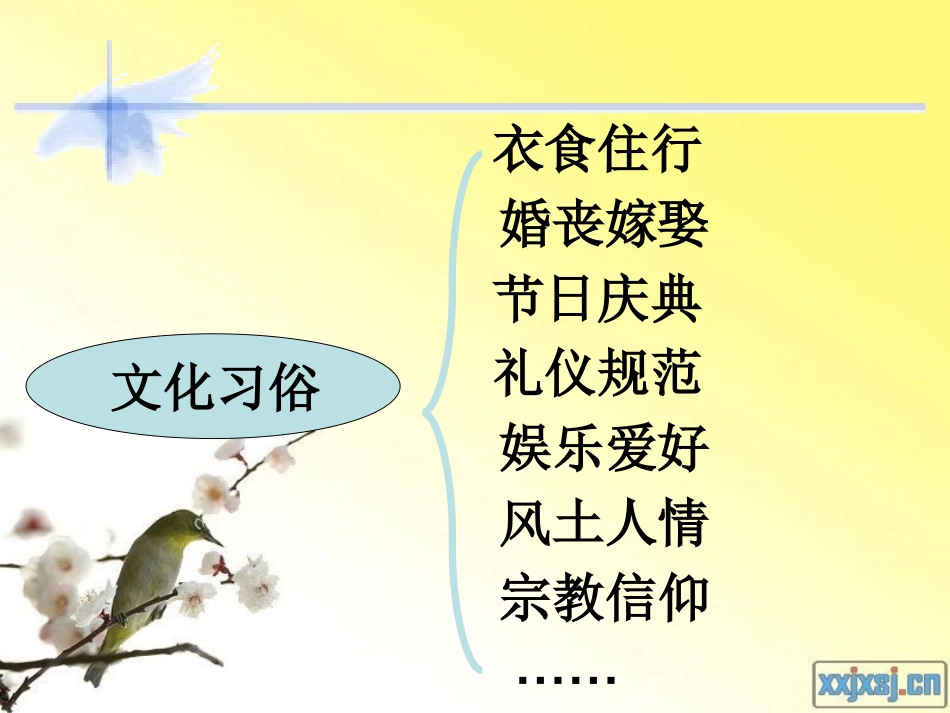 文化习俗多姿多彩课件3_第2页