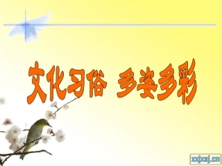 文化习俗多姿多彩课件3