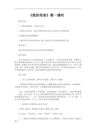 我的母亲ftb