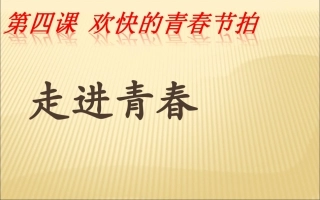 七年级政治上册-2.4-欢快的青春节拍课件(走进青春)新人教版-(1)