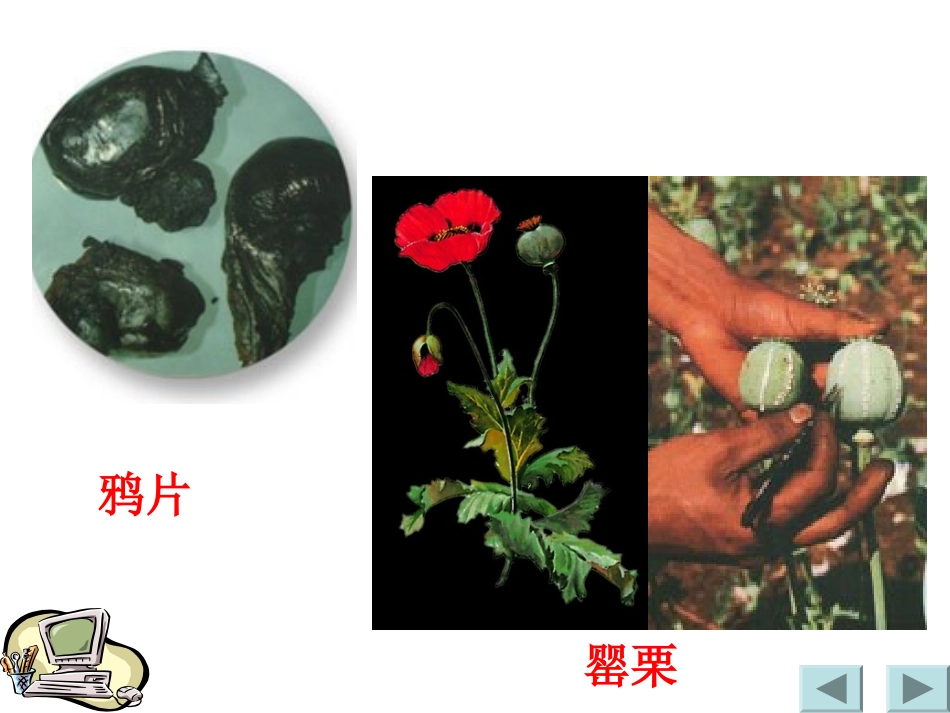 曾艳的课件-演示文稿_第2页