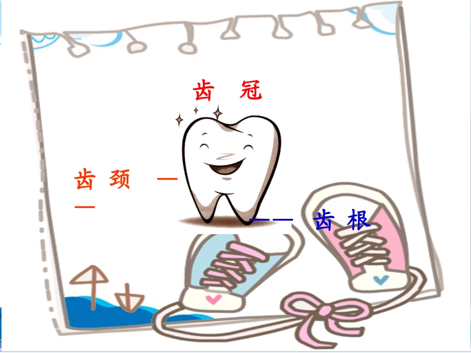 保护牙齿课件_第3页