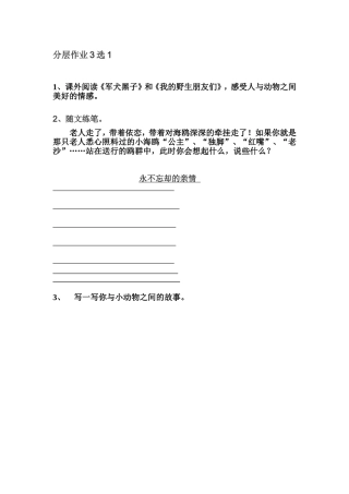 《老人与海鸥》分层作业