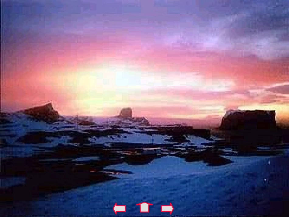 (部编)初中语文人教2011课标版七年级下册《伟大的悲剧》-(3)_第2页