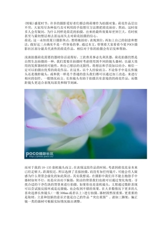 荷花拍摄的经验之谈