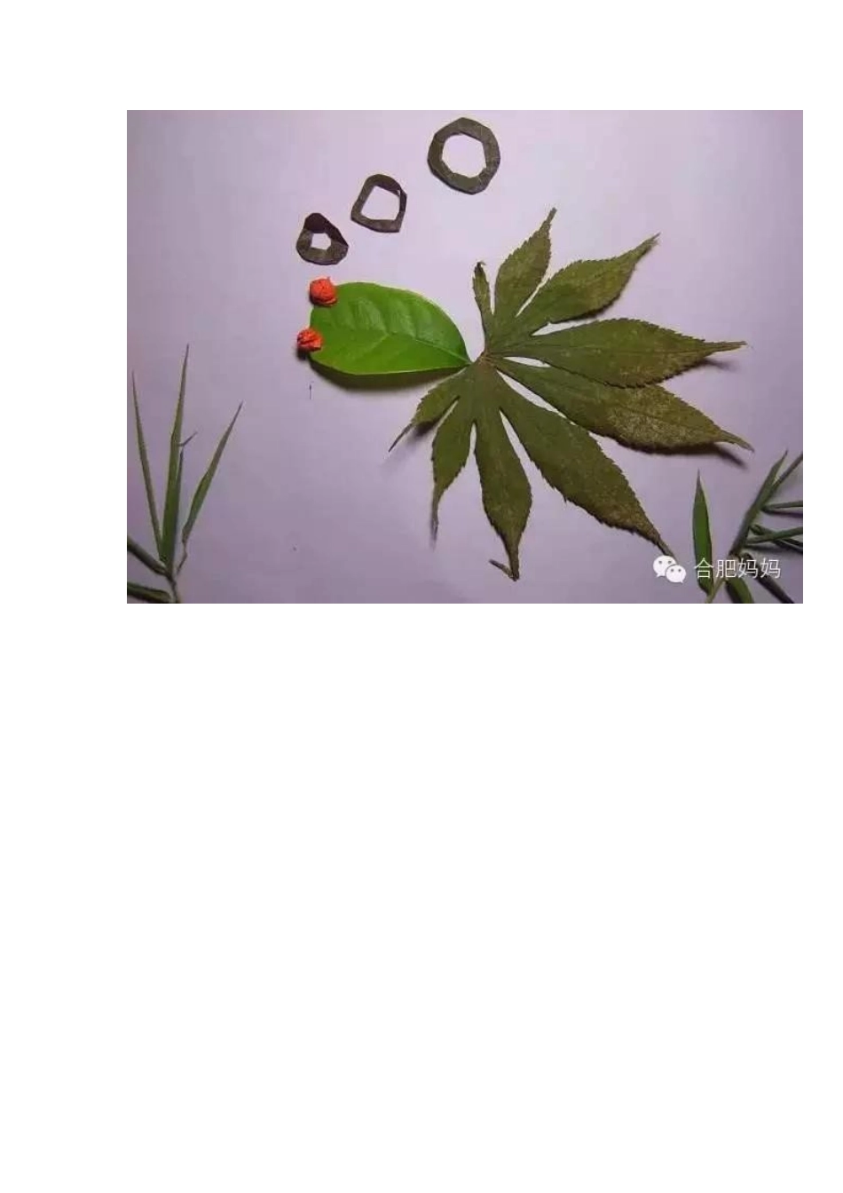 秋天带孩子去捡落叶吧_第3页