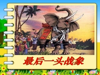 《最后一头战象》新-PPT课件