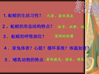 3.1折翅天使-鸟类探究