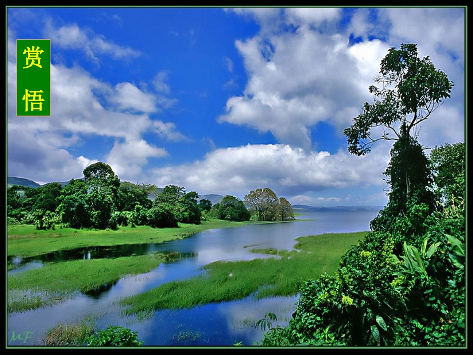 《山中访友》ppt_第3页