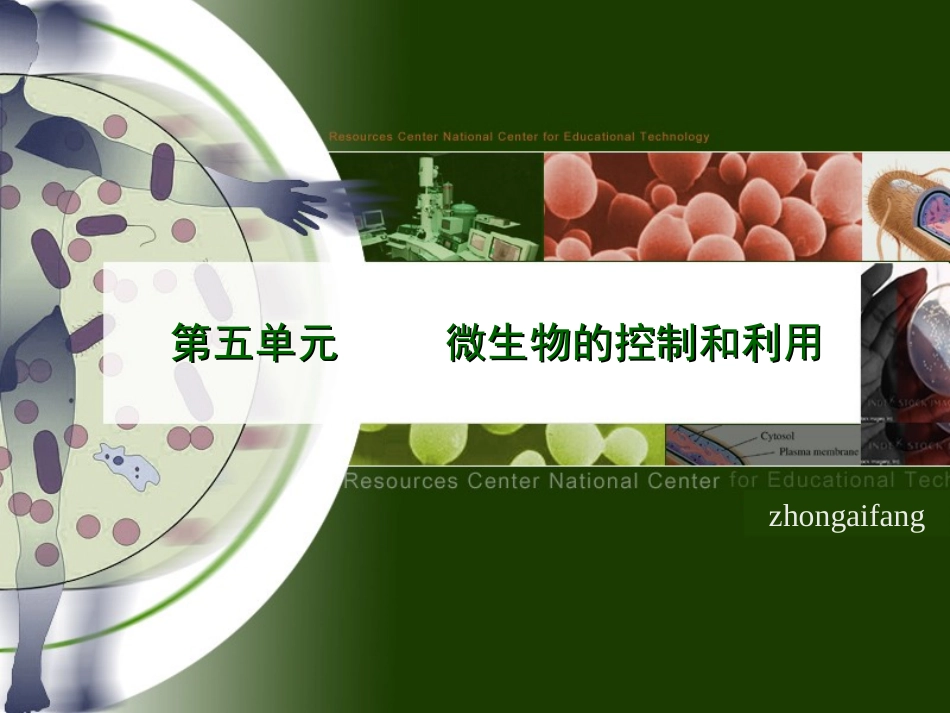 第1节-微生物在生物圈中的作用ppt_第1页