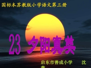 23夕阳真美.