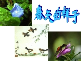 触摸春天(第一课时)-2.ppt修改版