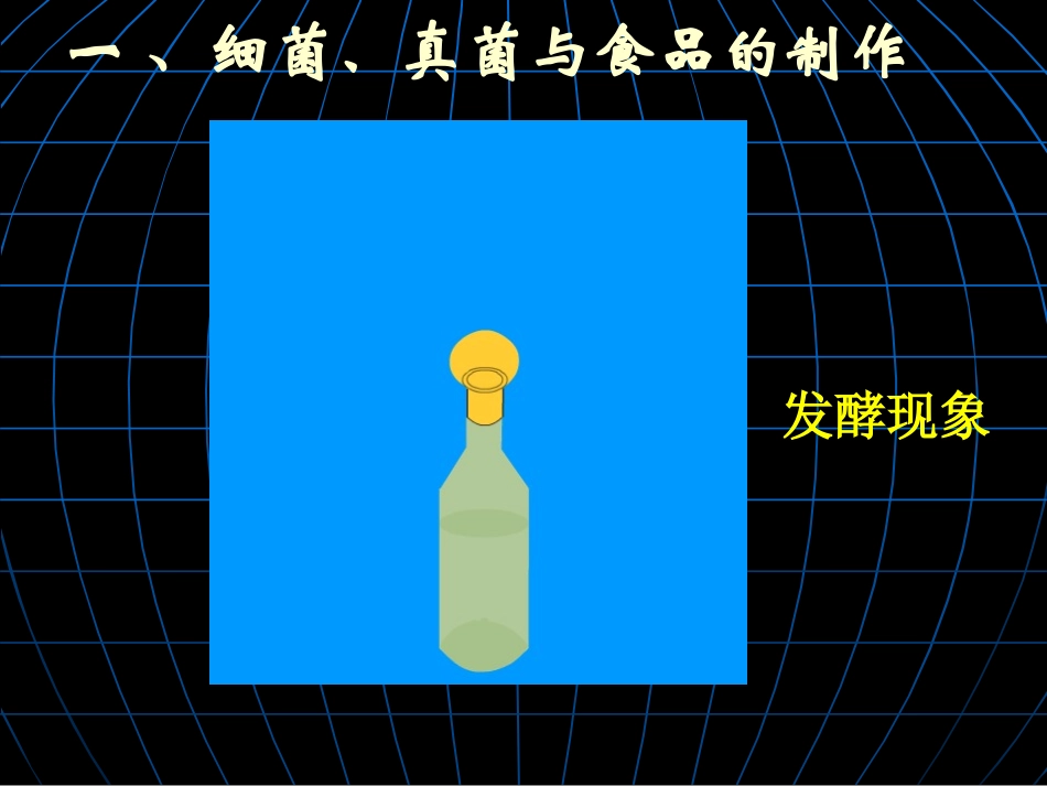人类对细菌和真菌的利用2_第3页