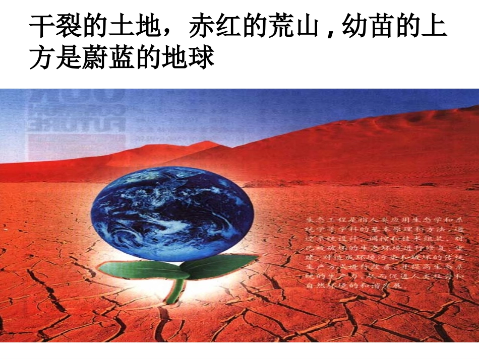 5.1生态工程的基本原理._第2页