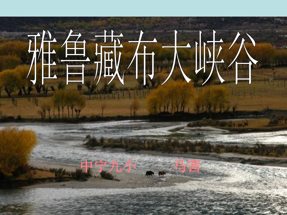 2雅鲁藏布大峡谷._第1页