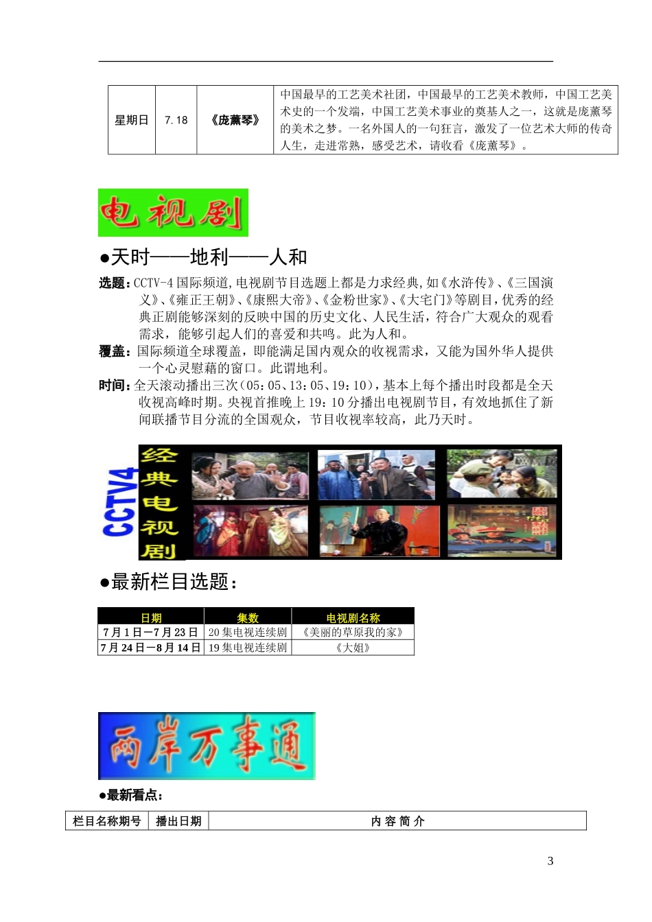 中视金桥推广方案_第3页