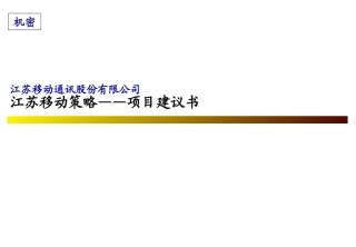 XX咨询项目建议书