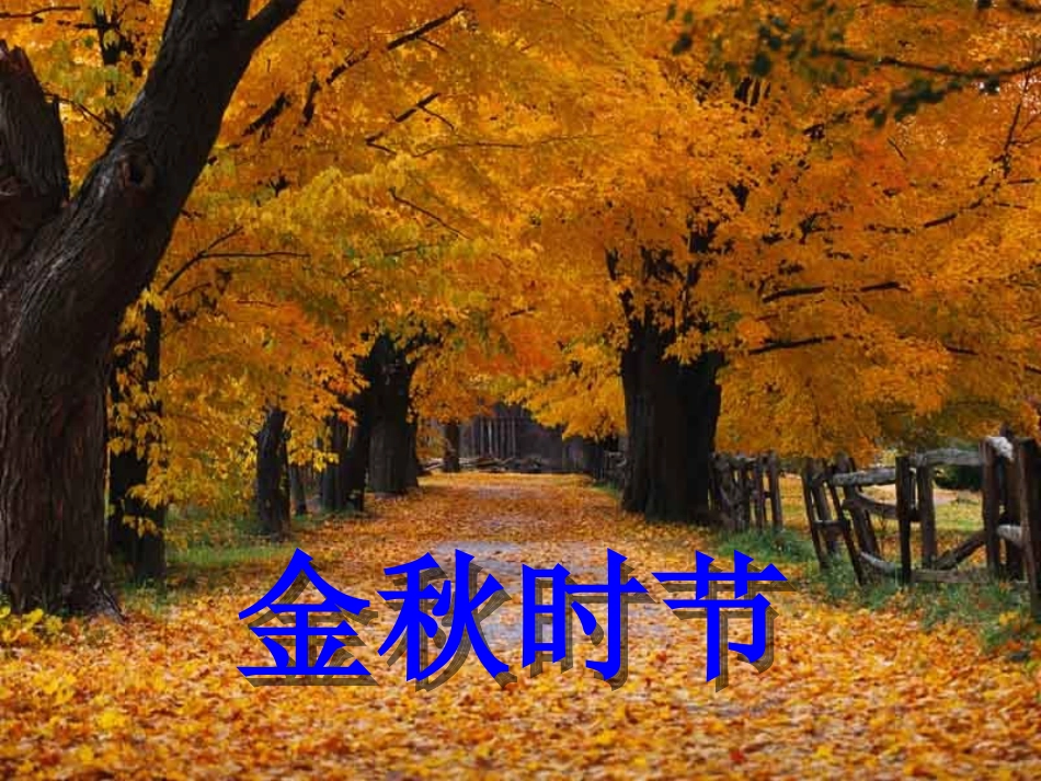 秋天的图画(陶莉芳0_第3页