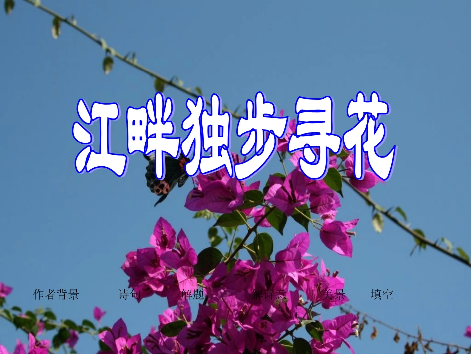 《江畔独步寻花》课件4_第1页