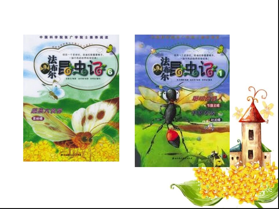 7蟋蟀的住宅_第2页