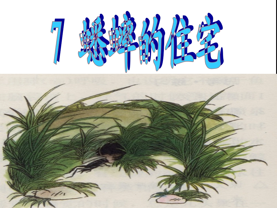 7蟋蟀的住宅_第3页