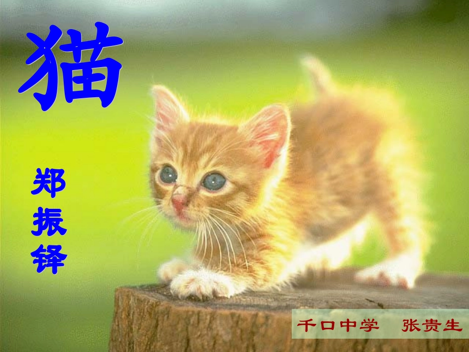 《猫》校内赛课课件2_第2页