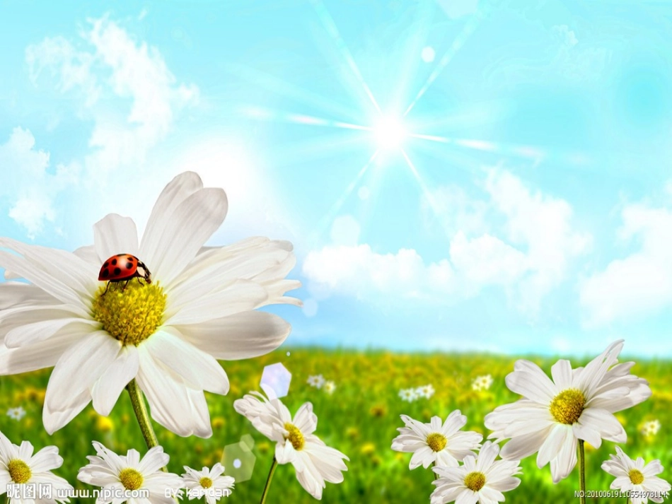 课件：《色彩的冷与暖》._第1页