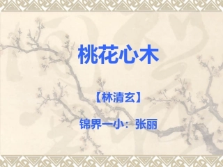 桃花心木课件49页
