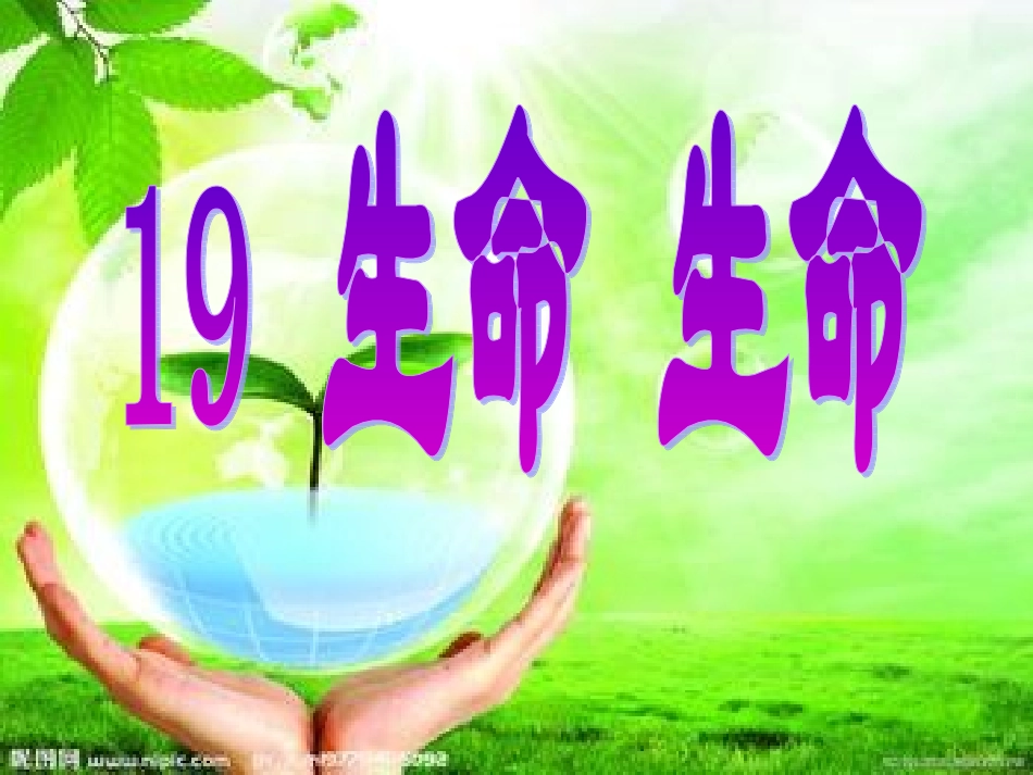 四年级语文下册第五组19.生命-生命第二课时课件_第2页