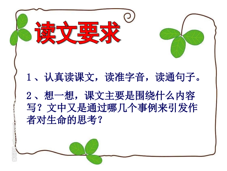 四年级语文下册第五组19.生命-生命第二课时课件_第3页