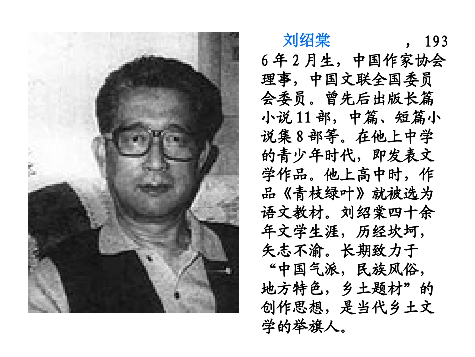 1老师领进门_第2页