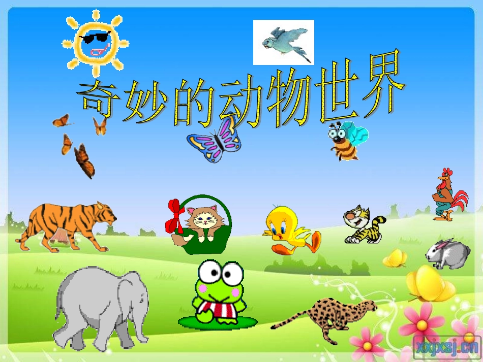口语、写话指导《奇妙的动物世界》_第1页