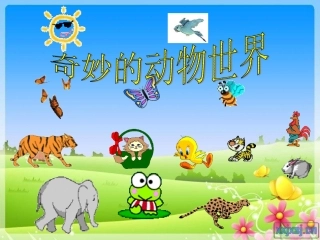 口语、写话指导《奇妙的动物世界》