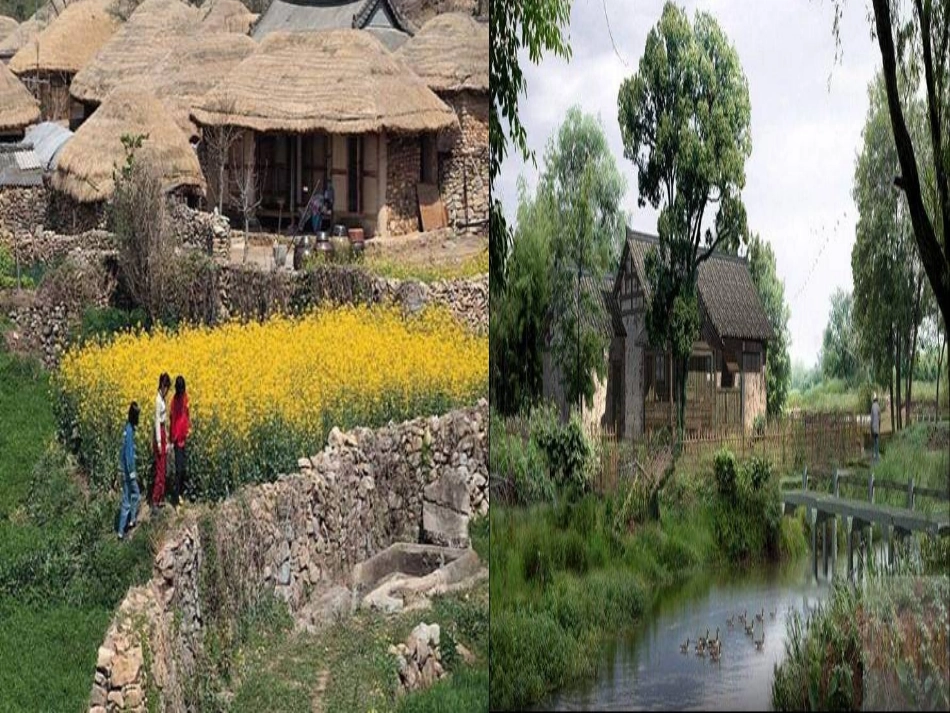 乡下人家.ppt_第3页