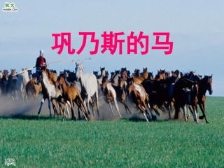 《巩乃斯的马》课件