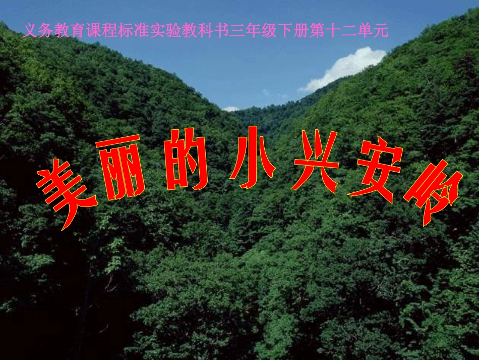 义务教育课程标准实验教科书三年级下册第十二单元美丽的小兴安岭_第1页