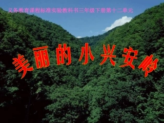 义务教育课程标准实验教科书三年级下册第十二单元美丽的小兴安岭