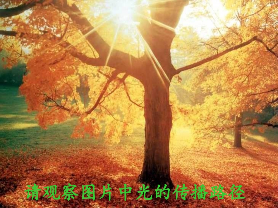 光的直线传播55555_第2页
