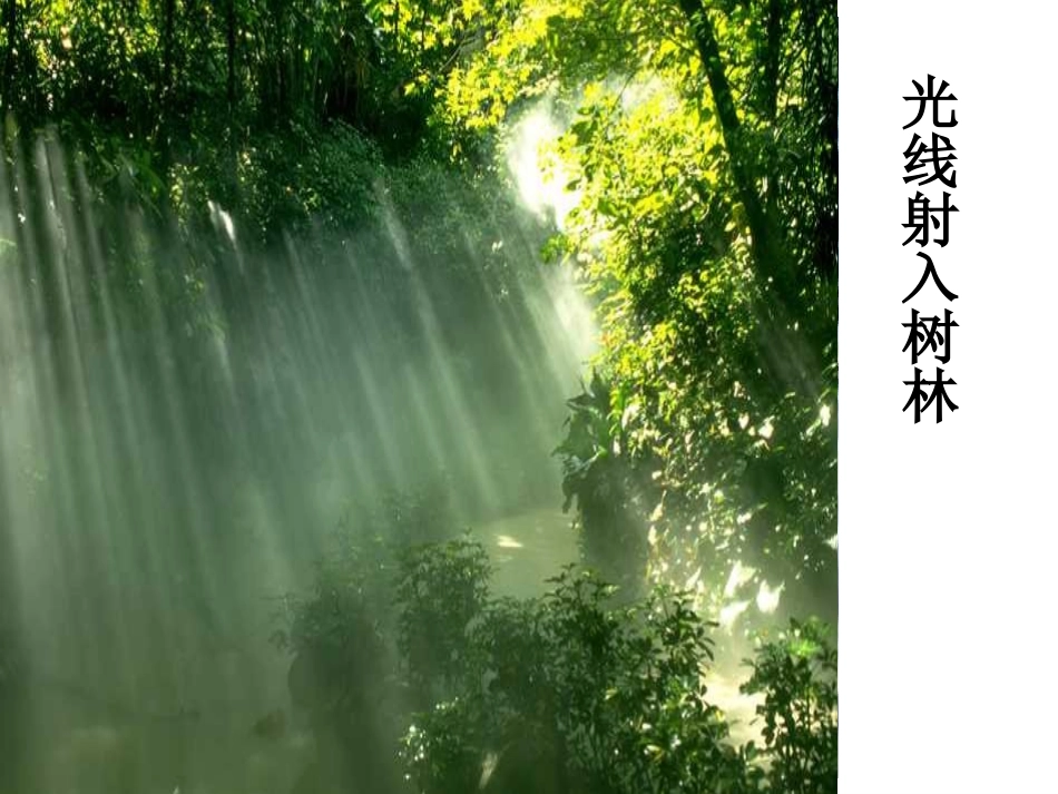 光的直线传播55555_第3页