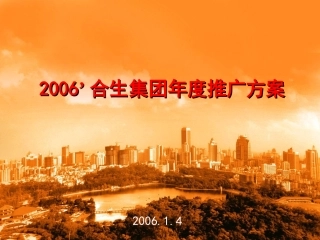 2006合生年度推广方案